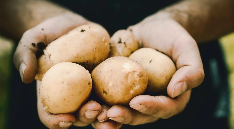 البطاطس لها تأثير إيجابي على صحة الرجل