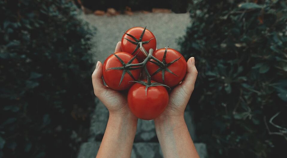 تقلل الطماطم من مخاطر الإصابة بسرطان البروستاتا